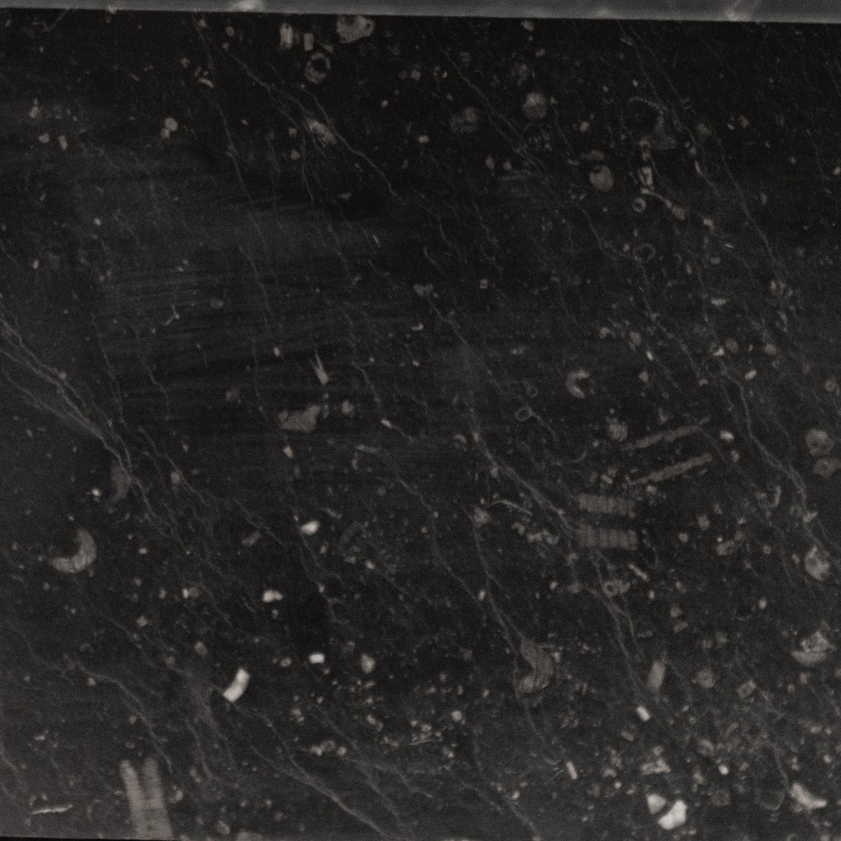 Antique Georgian Belgian Black Marble Fire Surround | Pair Available