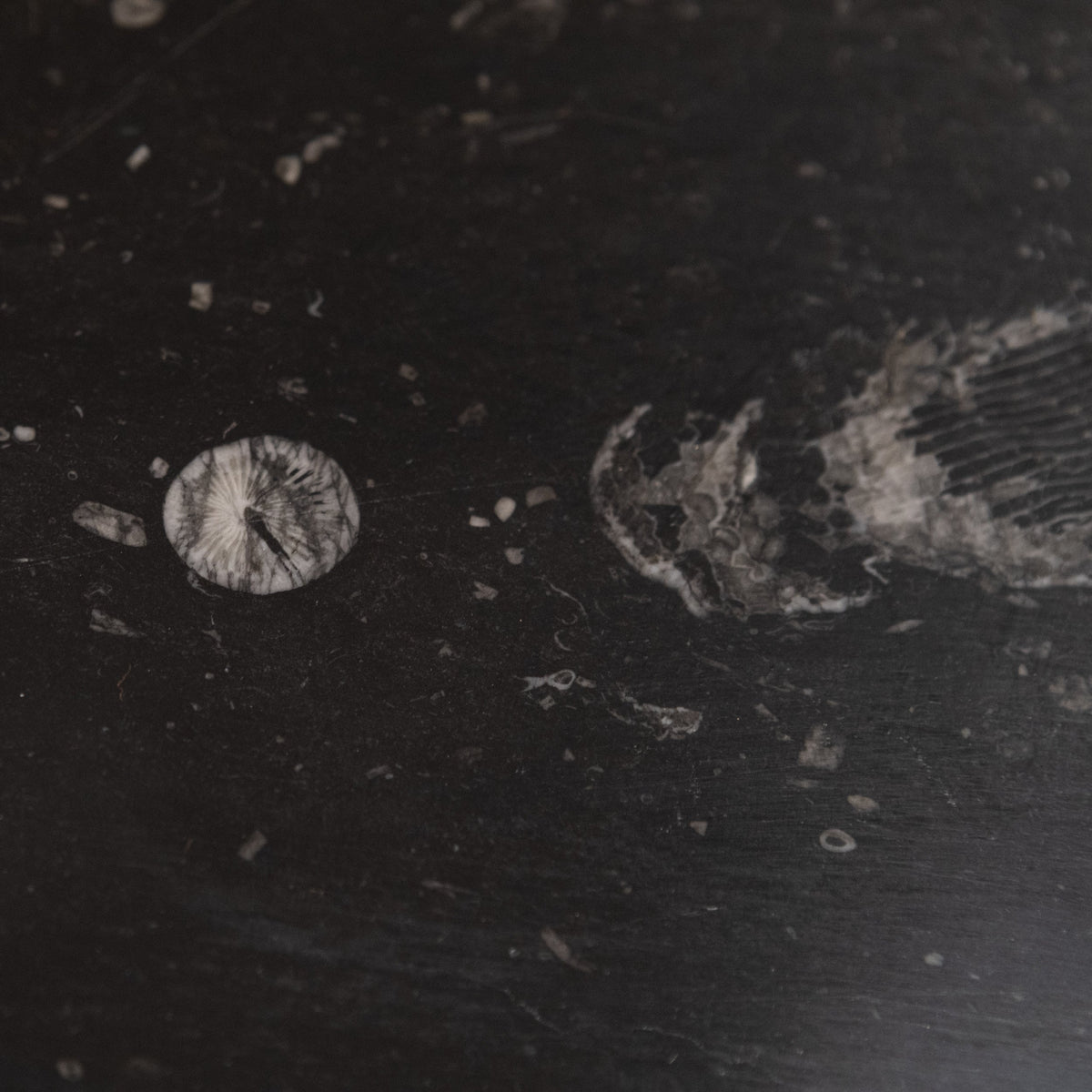 Antique Georgian Belgian Black Marble Fire Surround | Pair Available