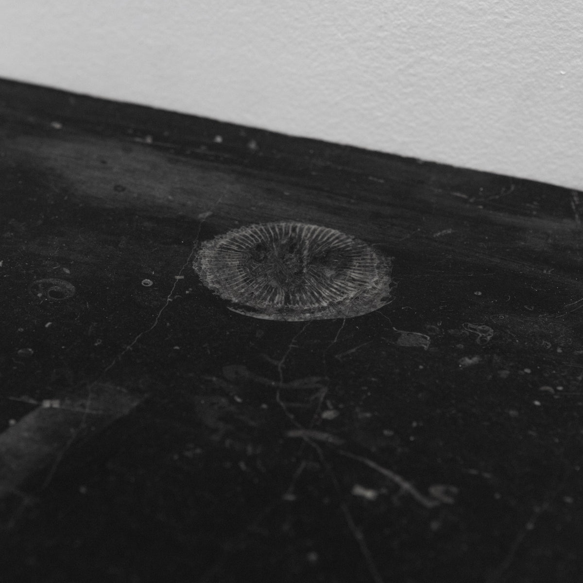 Antique Georgian Belgian Black Marble Fire Surround | Pair Available