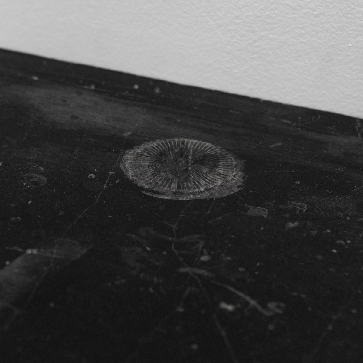 Antique Georgian Belgian Black Marble Fire Surround | Pair Available | The Architectural Forum