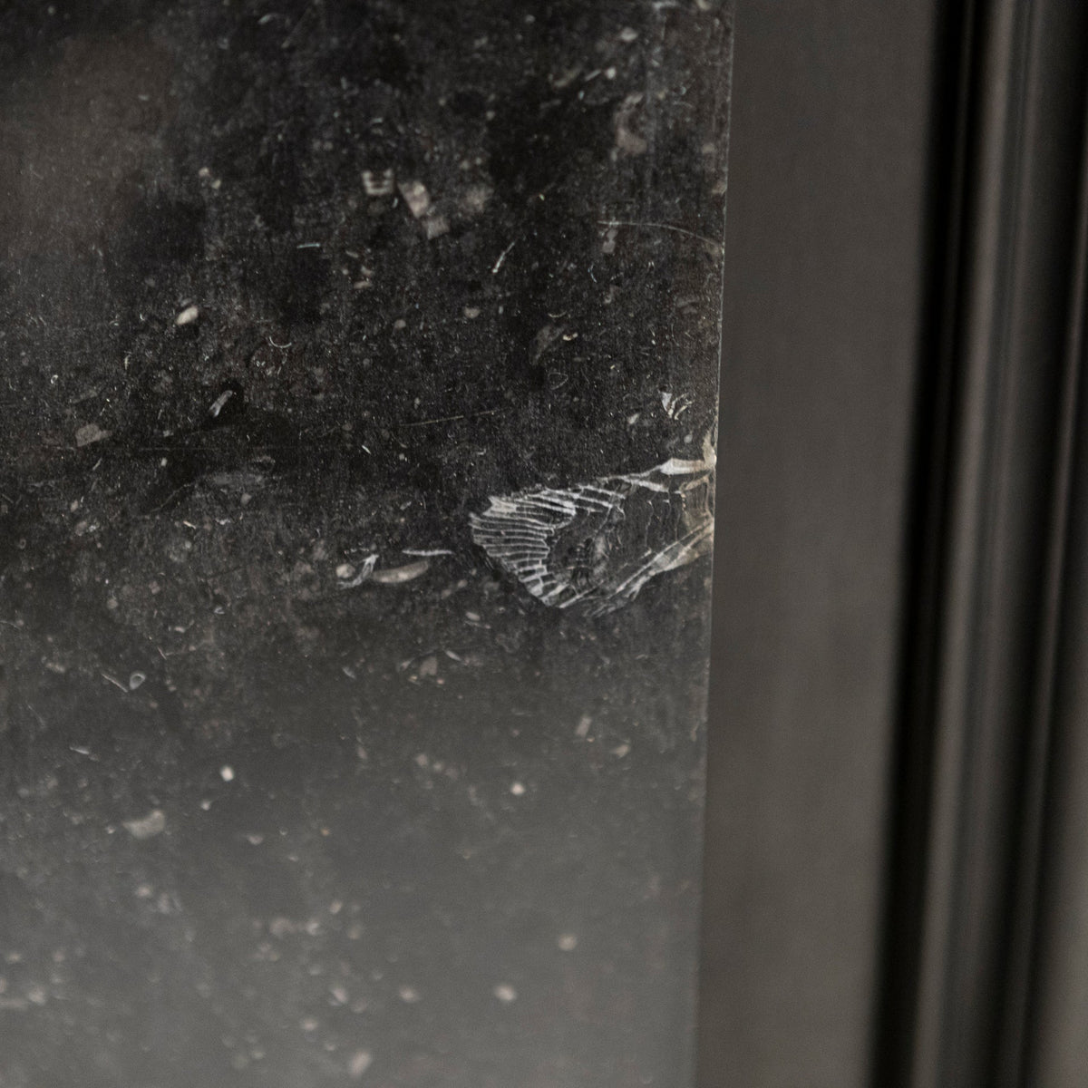 Antique Georgian Belgian Black Marble Fire Surround &amp; Insert | The Architectural Forum