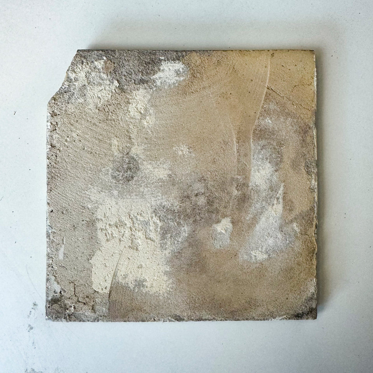 Single 18th Century Dutch Delft Swan Tile | The Architectural Forum